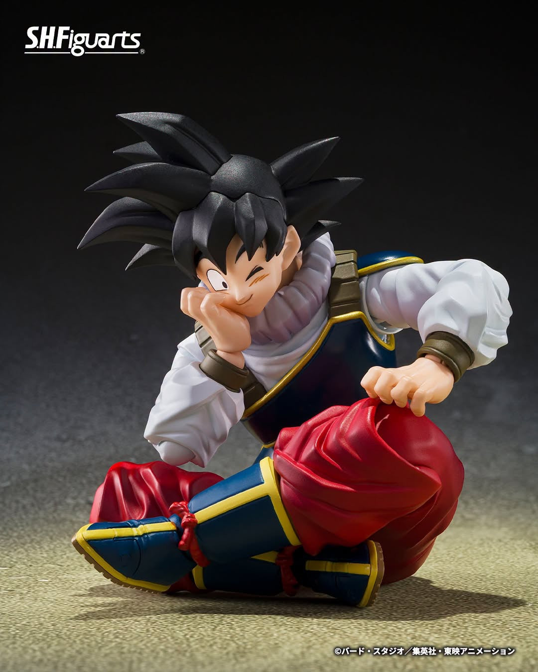DRAGONBALL Z SH FIGUARTS SON GOKU - RETURN TO EARTH