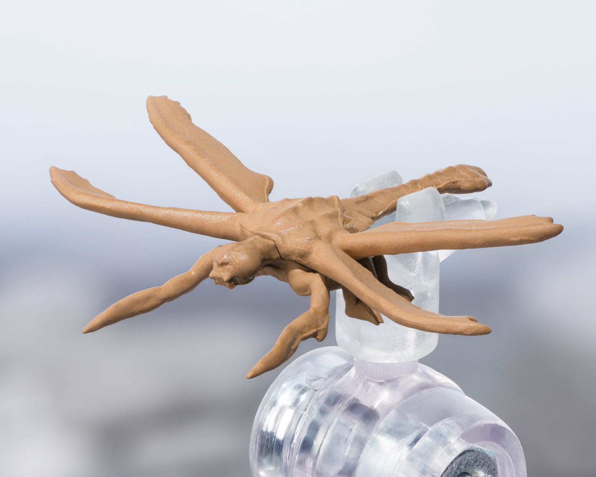 *PRE ORDER* Godzilla SH Monster Arts Action Figure Megaguirus Evolution Set (ETA MAY)