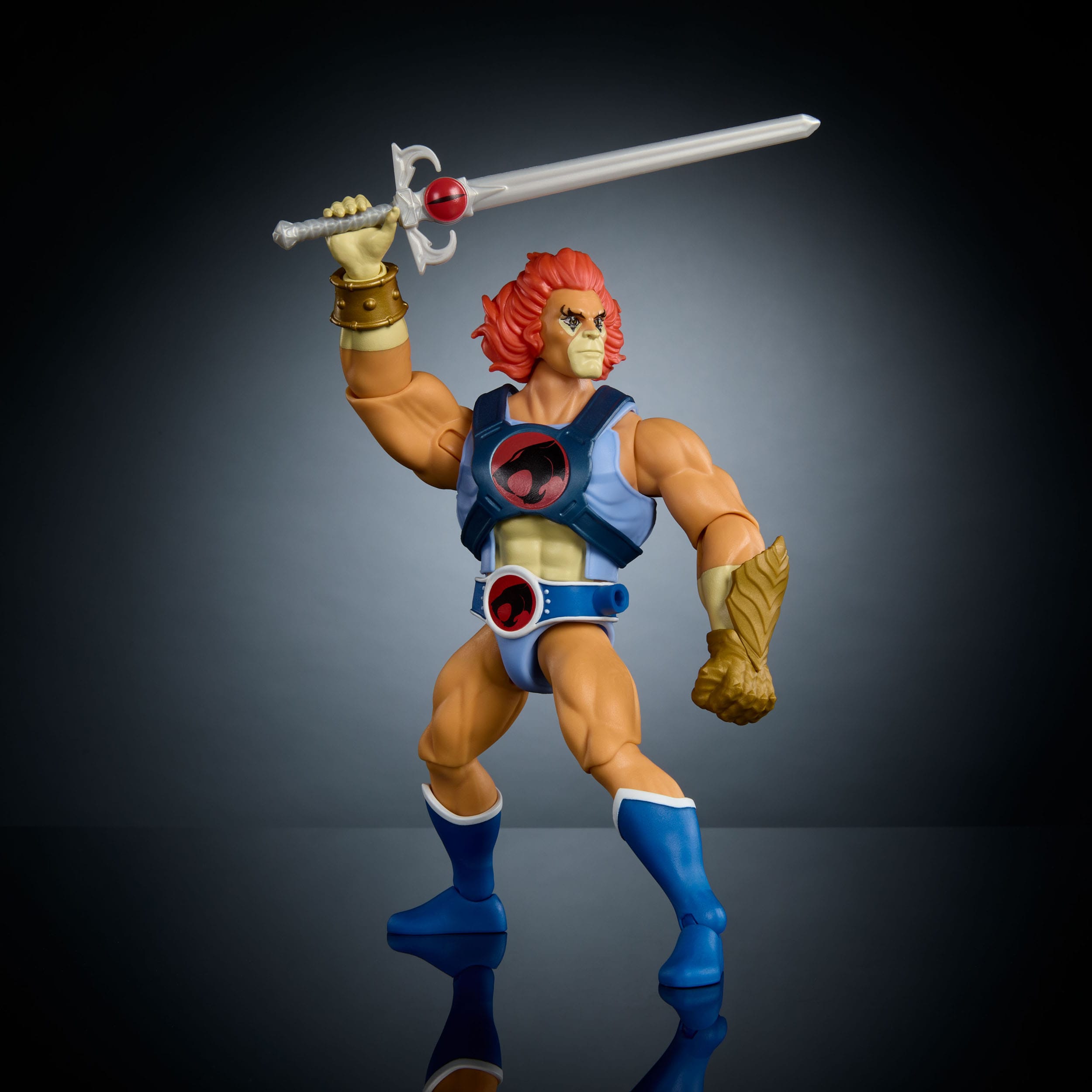 Masters of the Universe x ThunderCats Deluxe Action Figure Lion-O