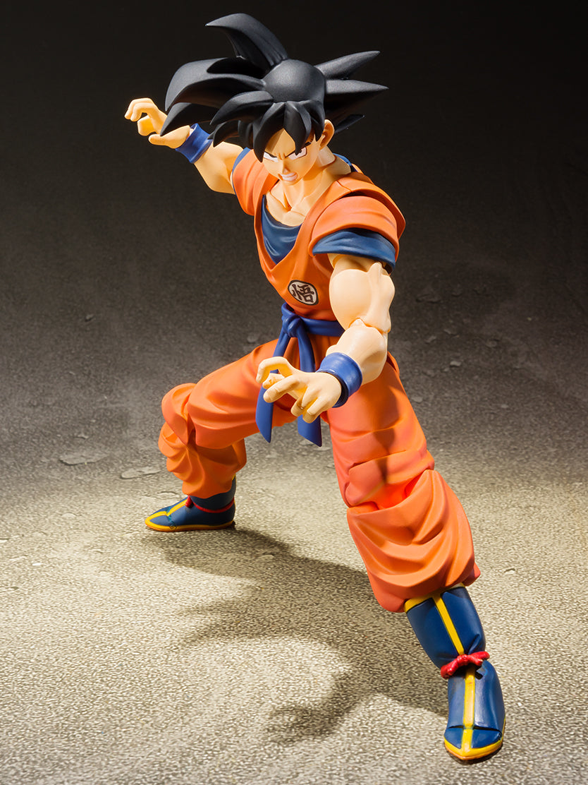 DRAGONBALL Z SON GOKU EARTH SH FIGUARTS