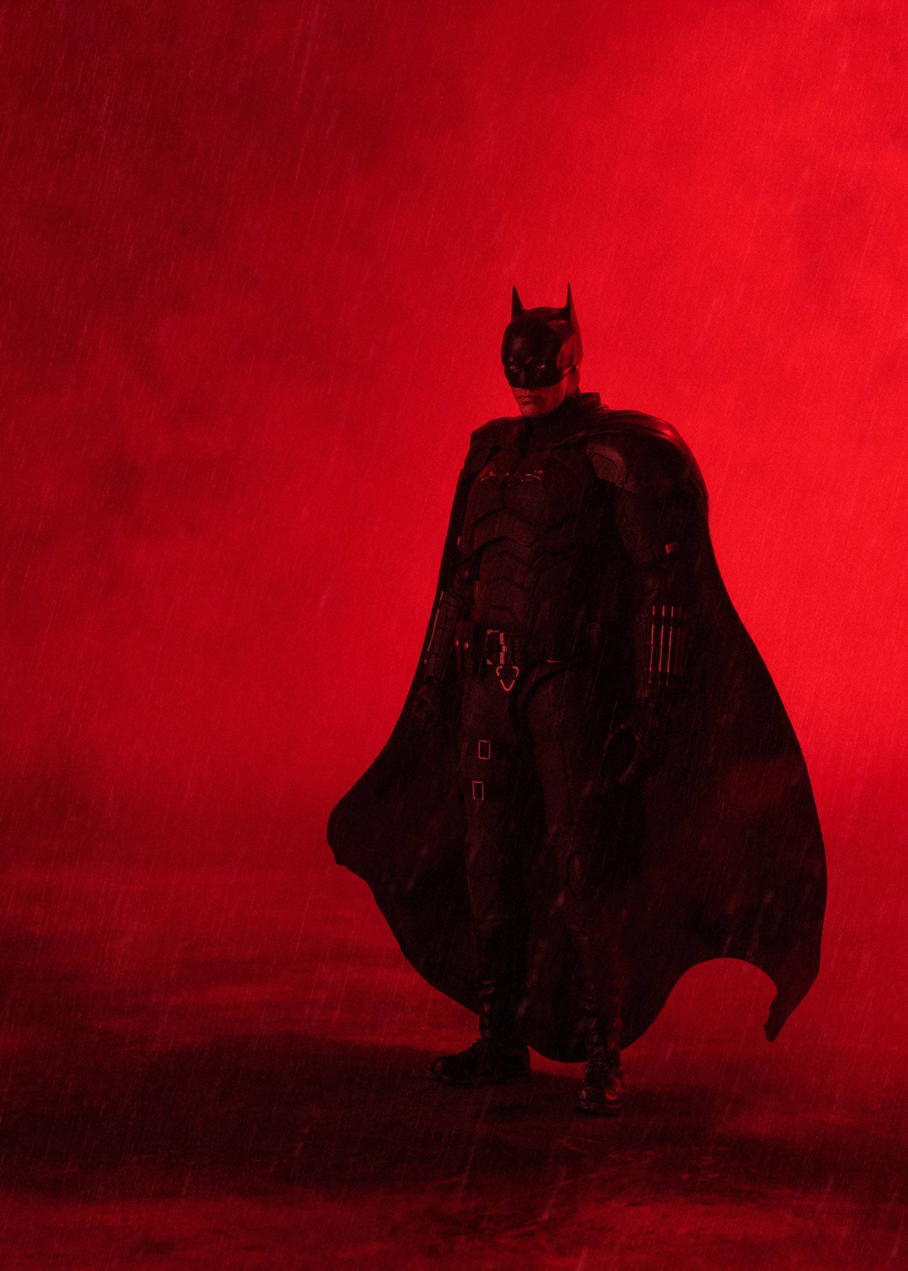 The Batman SH Figuarts Action Figure Batman