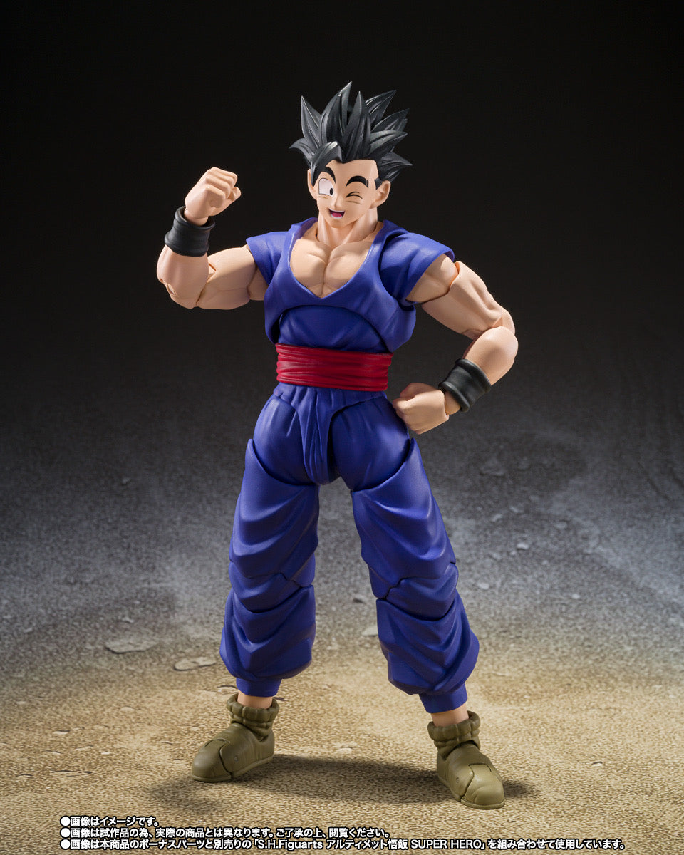 Dragon Ball Super Super Hero SH FIGUARTS PAN