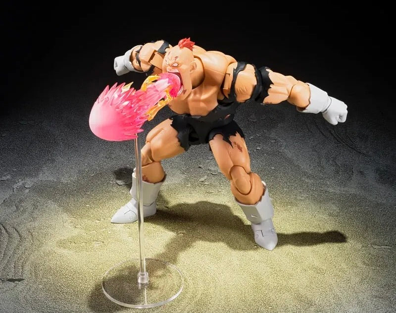 DRAGONBALL Z SH FIGUARTS RECOOME - THE NIGHTMARE