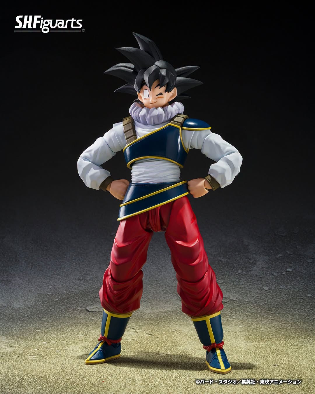 DRAGONBALL Z SH FIGUARTS SON GOKU - RETURN TO EARTH