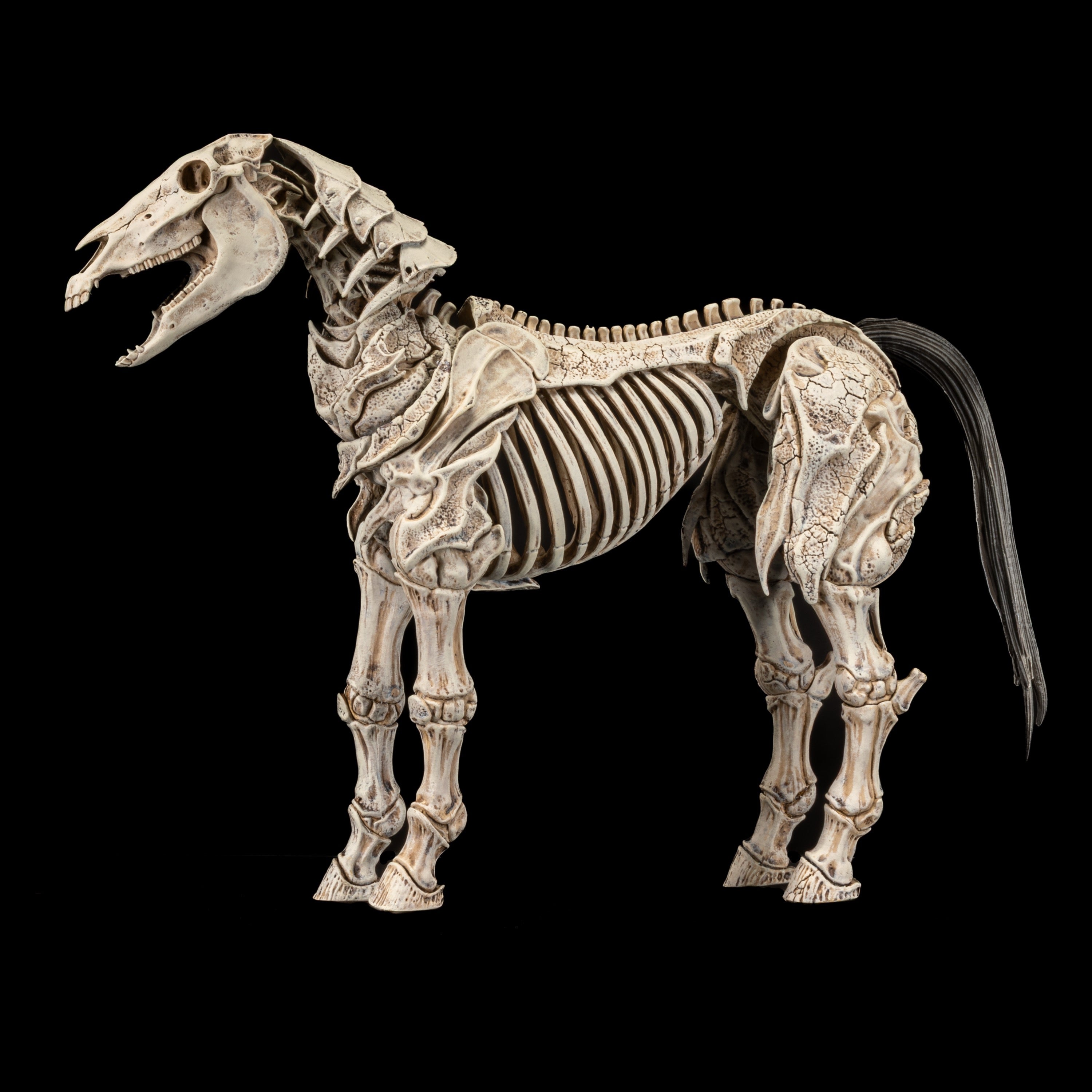 Mythic Legions: Reinforcement 3 Action Figure Skeleton Steed Legion Builder