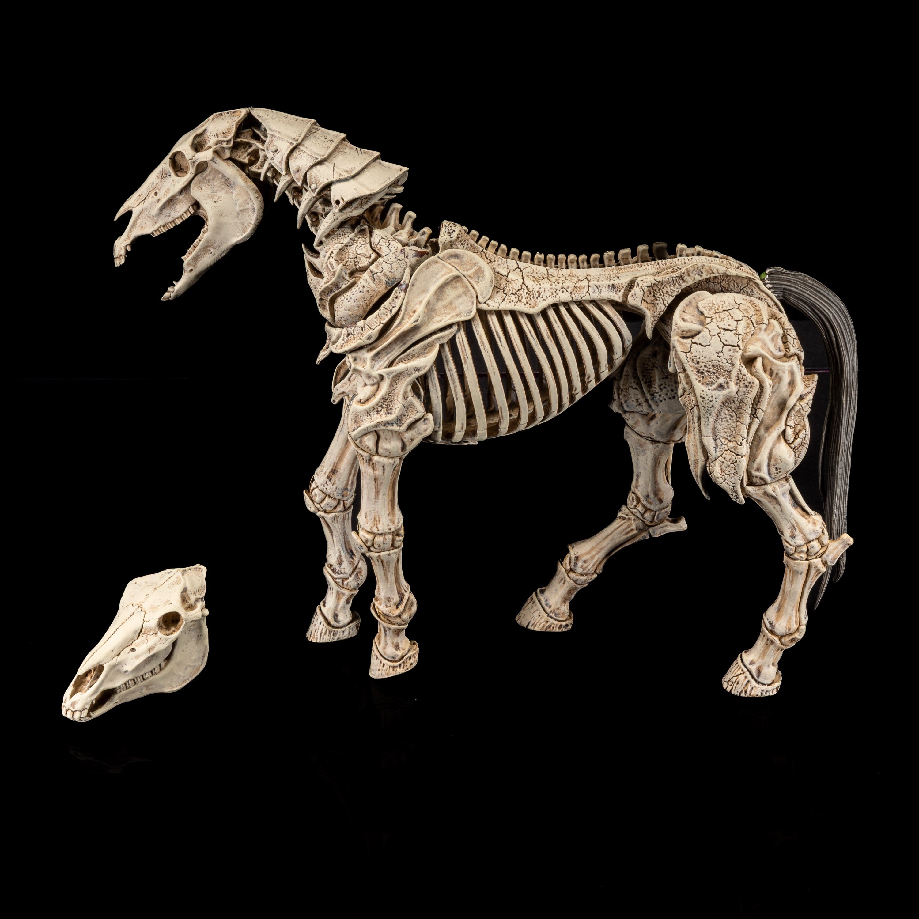 Mythic Legions: Reinforcement 3 Action Figure Skeleton Steed Legion Builder
