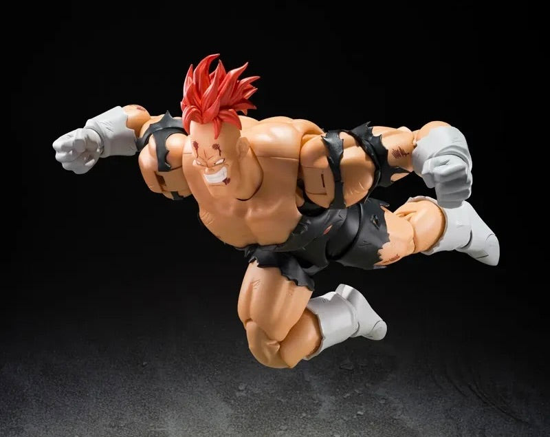 DRAGONBALL Z SH FIGUARTS RECOOME - THE NIGHTMARE