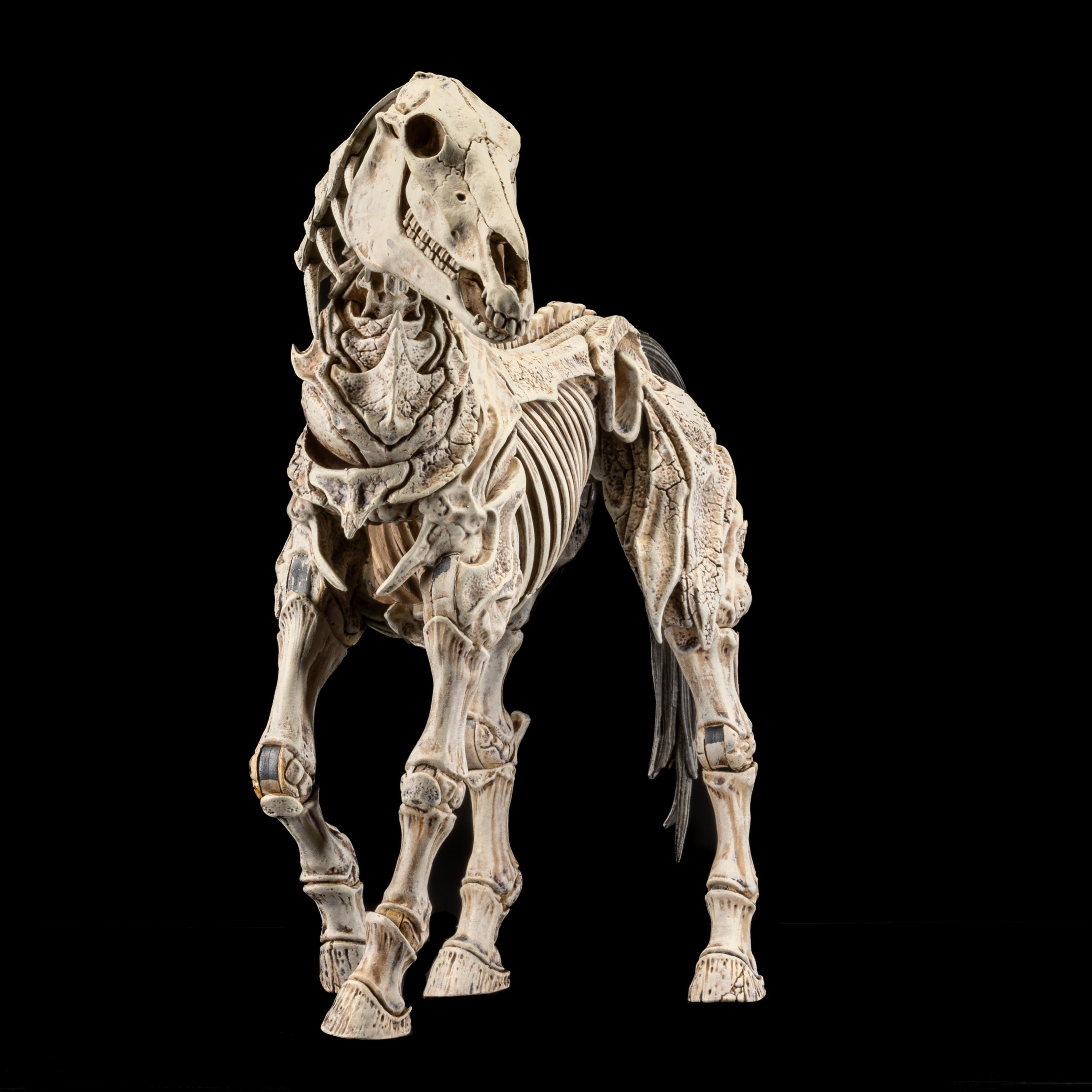 Mythic Legions: Reinforcement 3 Action Figure Skeleton Steed Legion Builder