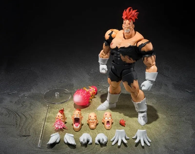 DRAGONBALL Z SH FIGUARTS RECOOME - THE NIGHTMARE