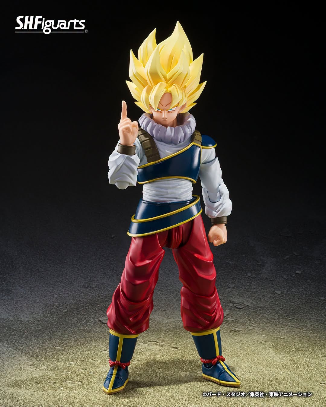 DRAGONBALL Z SH FIGUARTS SON GOKU - RETURN TO EARTH