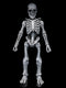 *PRE ORDER* Four Horsemen Studios - Graveyard Skeletons Action Figures 4-Pack Graveyard Skeletons (ETA