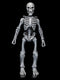 *PRE ORDER* Four Horsemen Studios - Graveyard Skeletons Action Figures 4-Pack Graveyard Skeletons (ETA