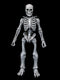 *PRE ORDER* Four Horsemen Studios - Graveyard Skeletons Action Figures 4-Pack Graveyard Skeletons (ETA