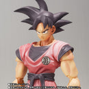 DRAGONBALL Z SH FIGUARTS SON GOKU KAIOHKEN VER 10th ANNIVERSARY WORLD TOUR EDITION